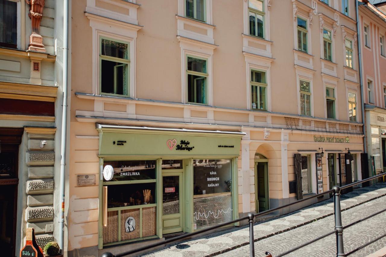 Priestranny Apartman Moja Marina V Srdci Stiavnice Banská Štiavnica Exteriör bild